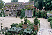 Old garden shed with ivy-covered roof and gravel path