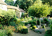 Geometrically designed garden with gravel path and topiary trees