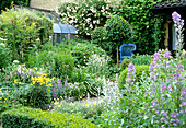 View of a diverse flower bed with garden chair in the background