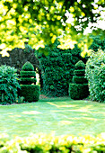 Carefully trimmed hedges and topiary in the garden