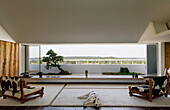 Minimalist living room with large panoramic window, dog and bonsai tree on balcony