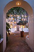 Illuminated patio with climbing plants