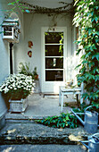 Idyllic entrance area with green plants and watering can