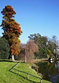 Grounds with pond