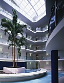 Palm tree in lobby of apartment house with natural light falling through broad glass roof