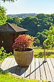Bonsai tree in stone pot on wooden deck with view of landscape in background