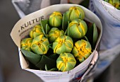 Bouquet of tulips in newspaper