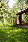 Wooden house in the garden with flowering trees