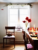 A table set for Christmas with amaryllis