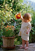 Kleines Mädchen giesst Blumen im Garten
