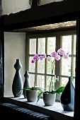 Potted violet orchids and hand-made ceramic vases on windowsill