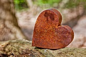 Rusty metal heart on tree trunk