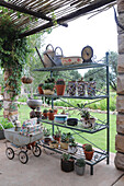 Shelving holding flower pots on veranda