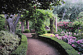 Gartenweg mit Pergola, Blauregen, Rosen und Kamelien