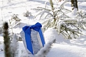 Present with blue ribbon in snow