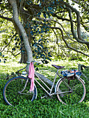 Bicycle with picnic blanket in woods