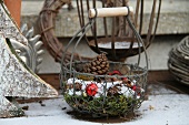 Wire basket with pine cones and baubles in snow