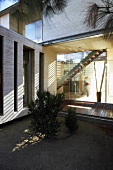 Contemporary house with bush in corner of courtyard and view into glazed, light-flooded stairwell