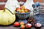 Autumn arrangement of pumpkins, crab apples, conkers and pine cone