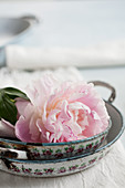 Old casserole dishes and pink peony