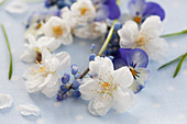 A small wreath of cherry blossoms and grape hyacinths