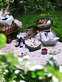 Sumptuous picnic on blanket in garden