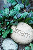 Inspirational Message Garden Stones