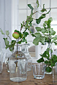 Leafy branch with apple in vintage glass bottle