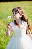 A girl with a dandelion clock in a field