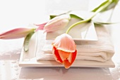 Tulpen auf Porzellangeschirr und Handtuch