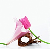 Flower arrangement with tulip and lily
