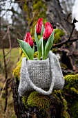 Tulips in crocheted and felted bag