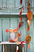 Strings of threaded autumn leaves and lantern against wooden wall
