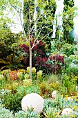Mediterranean garden with prairie planting and potted palm tree behind tree hung with old CDs