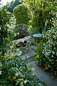 Shady seating area in Mediterranean garden - cat lying on stone floor next to metal chair