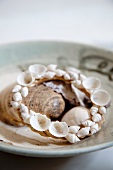 Dish decorated with shells