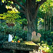 Roses next to vintage jug and terracotta cockerel figure on mossy stone bench in evening sun