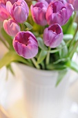 Pink bunch of tulips