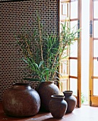 Reed grass in ceramic vases
