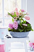 Zinc bowl of pink primulas and hyacinths and bouquet of tulips in milk jug