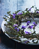 Wreath of spruce twigs and violets on vintage dish