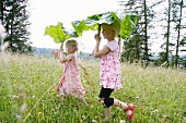 Zwei blonde Mädchen mit Rhabarberblättern als Sonnenschirme im Garten