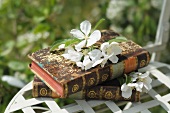 Antiquarian books and fruit blossom on garden chair