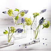 Little spring posies in small glass vases