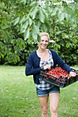 Frau trägt eine Steige Kirschen im Garten
