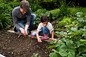 A father and daughter gardening