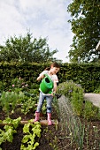 Mädchen giesst Pflanzen im Gemüsebeet