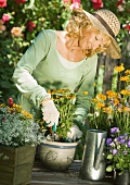 Senior woman potting flowers