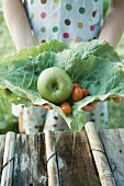 Woman holding fresh produce in cabbage leaves, close-up, cropped view
