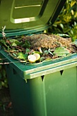 Gefüllter Kompostcontainer mit offenem Deckel